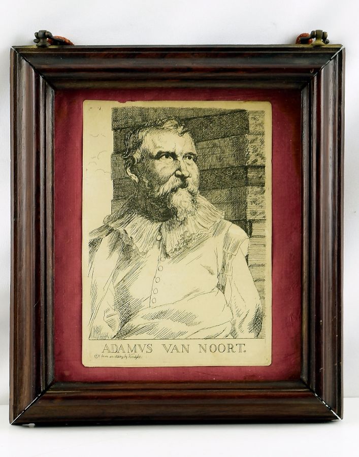 Adamus Van Noort