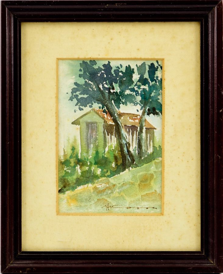 A. M. Soares