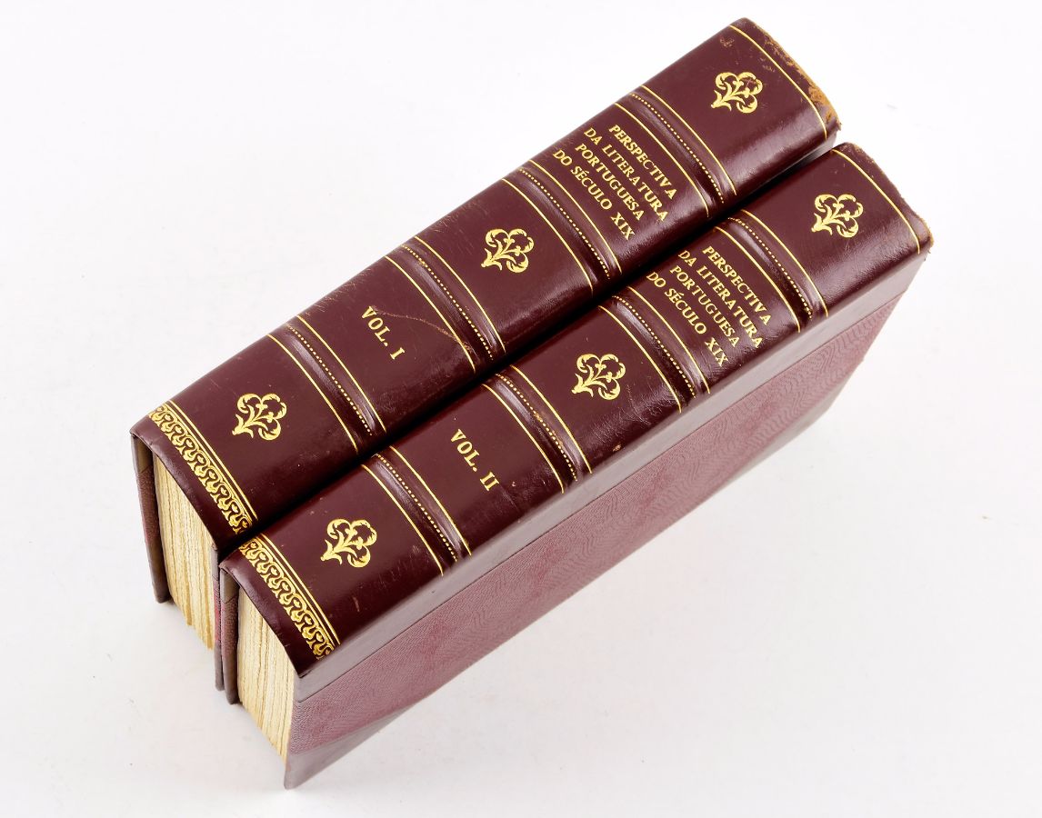 Perspectiva da Literatura Portuguesa do Séc. XIX