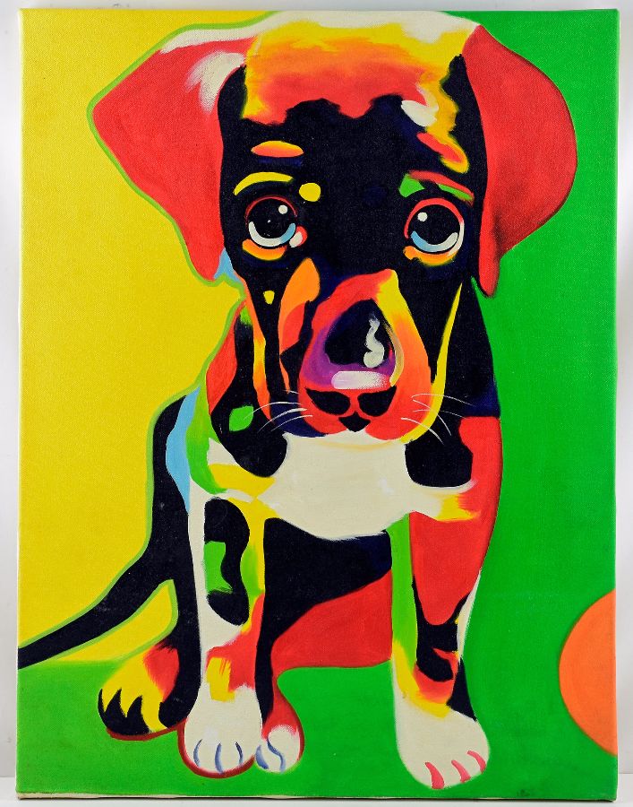 Cão e Gato