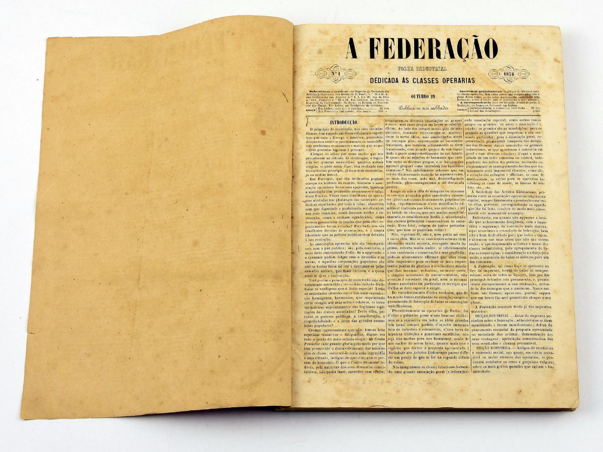 A Federação