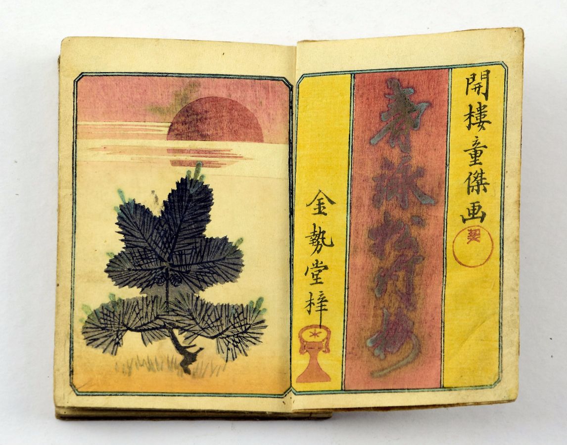 Livro erótico japonês ilustrado (Shunga)
