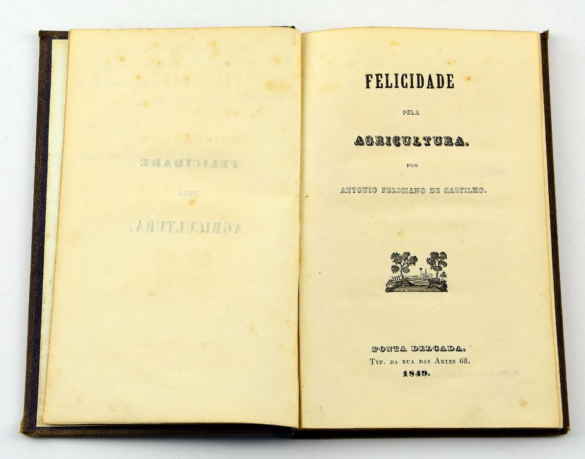António Feliciano de Castilho
