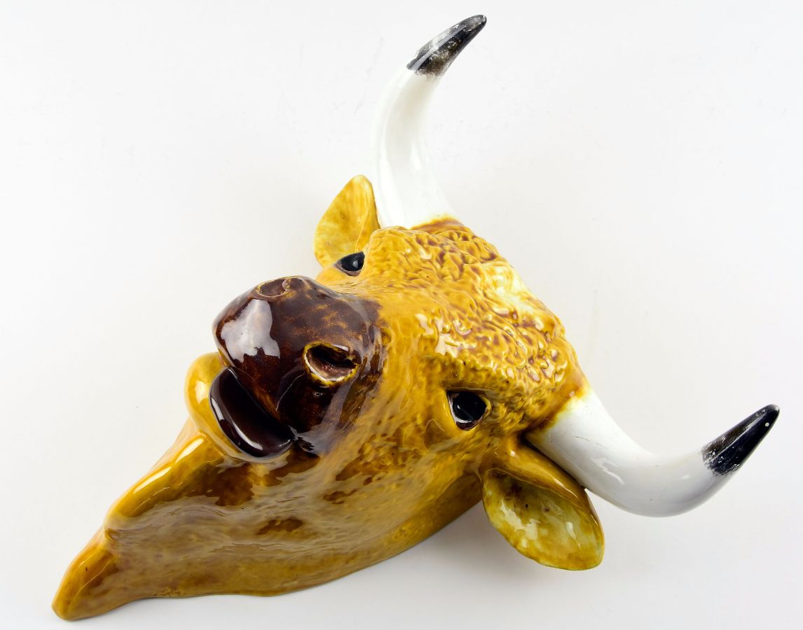 Cabeça de Touro