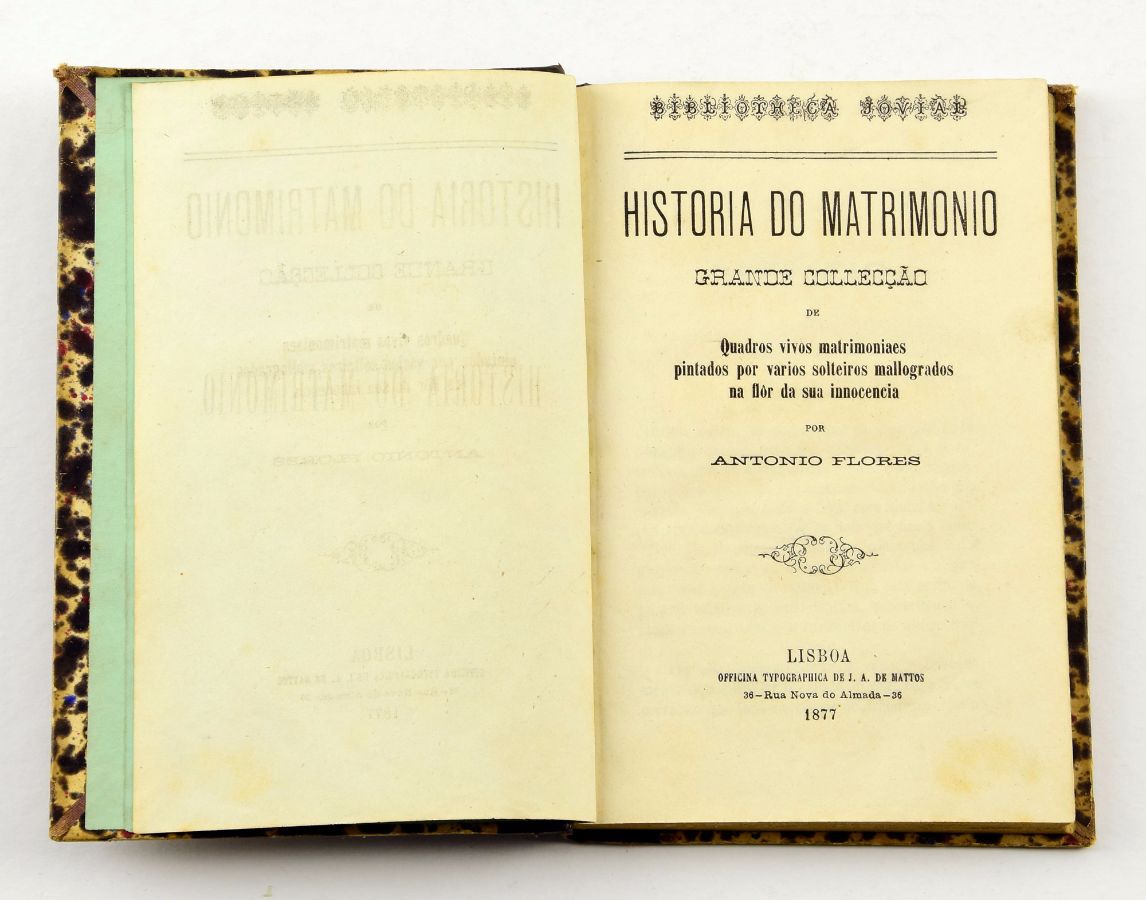 História do Matrimónio (1877)