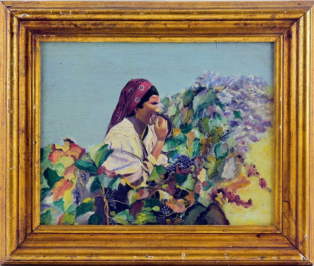 Vindimas