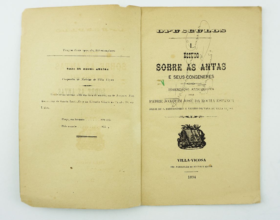 Estudo pioneiro sobre Antas (1896)