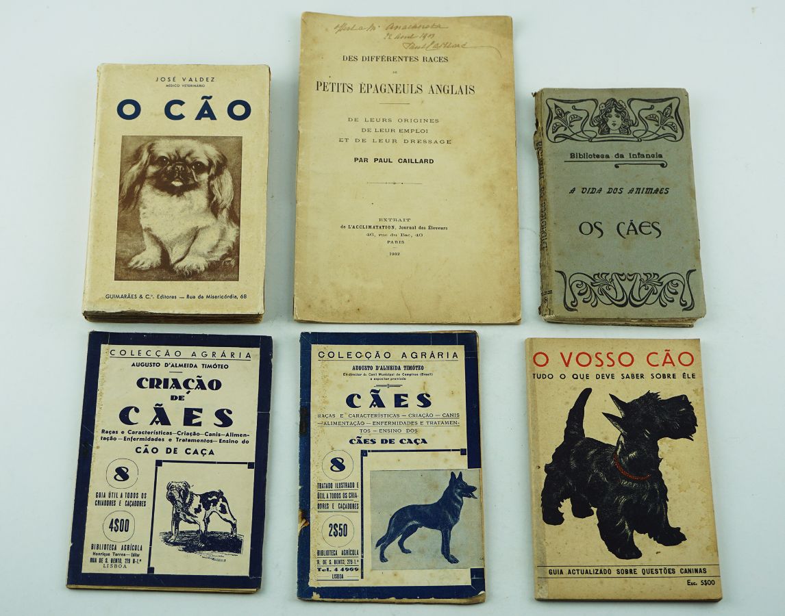 6 Publicações sobre Cães