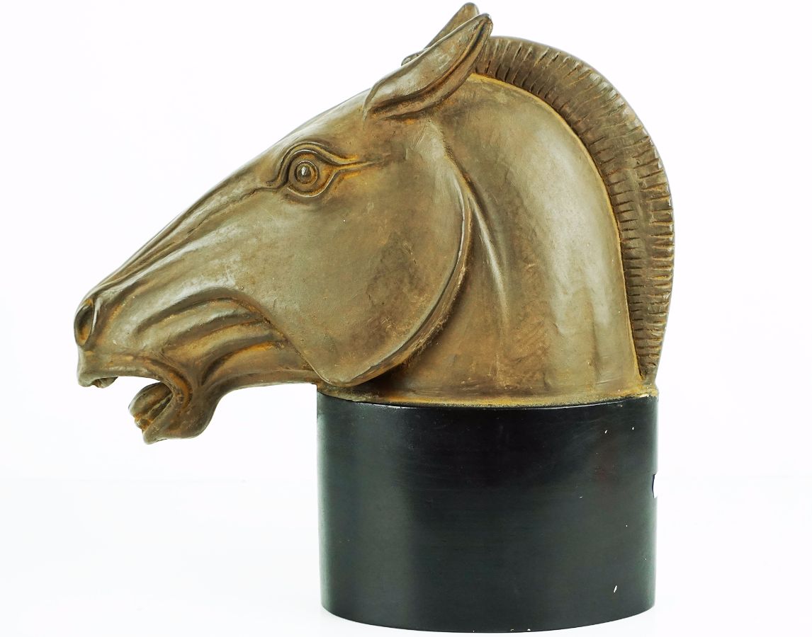 Cabeça de cavalo