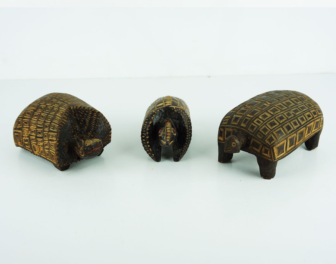 Cágados (3)