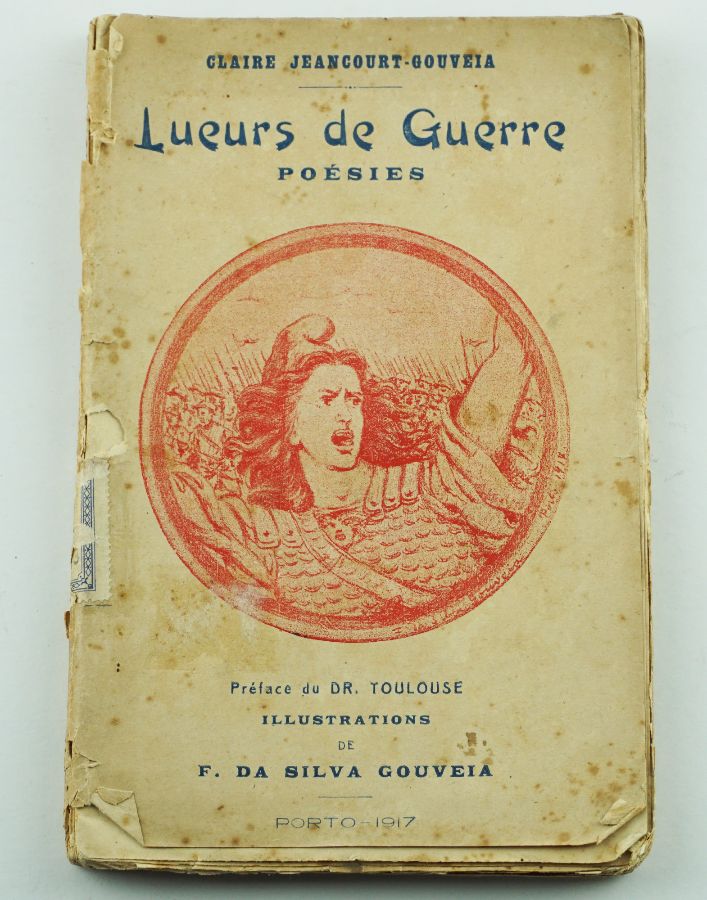 Raro livro sobre a Grande Guerra (1917)