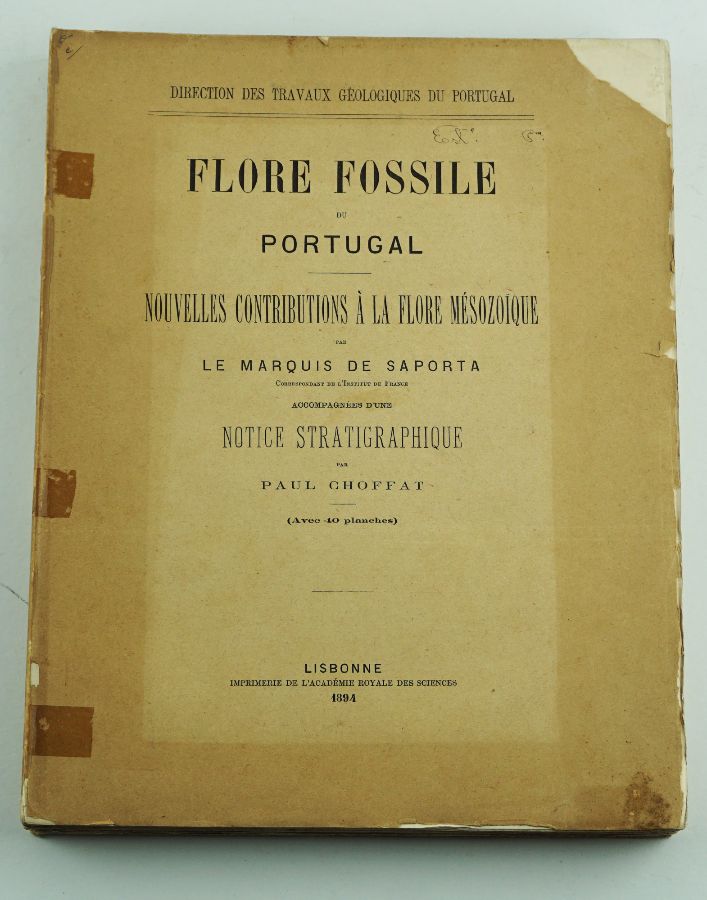 Flora Fossil / 40 Litografias