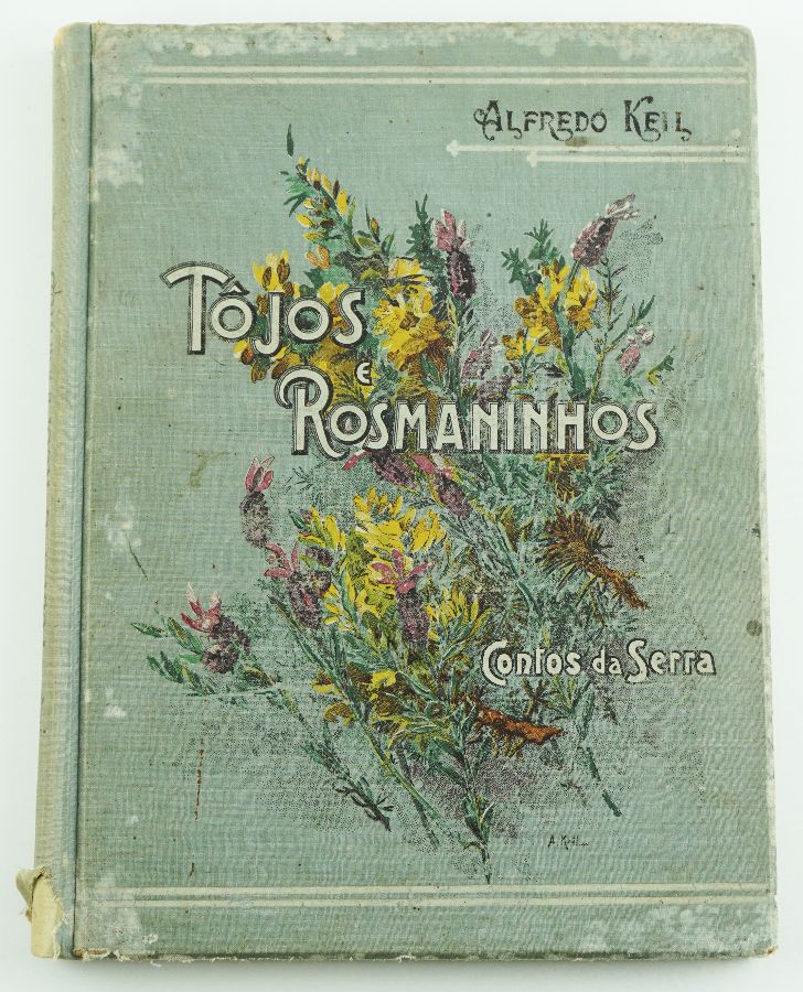 Tojos e Rosmaninhos