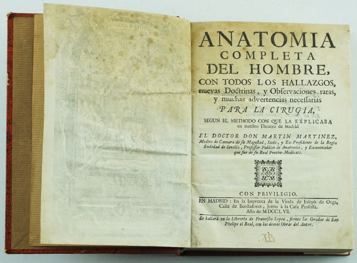 Anatomia Completa Del Hombre