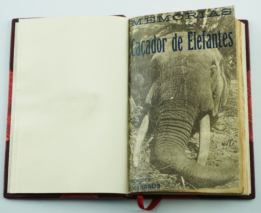 Memórias de um Caçador de Elefantes (1924)