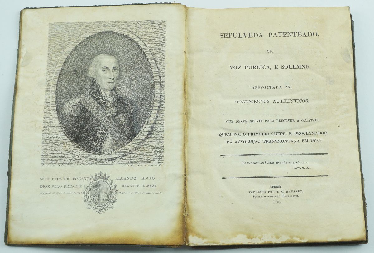 Livro da Guerra Peninsular, 1813
