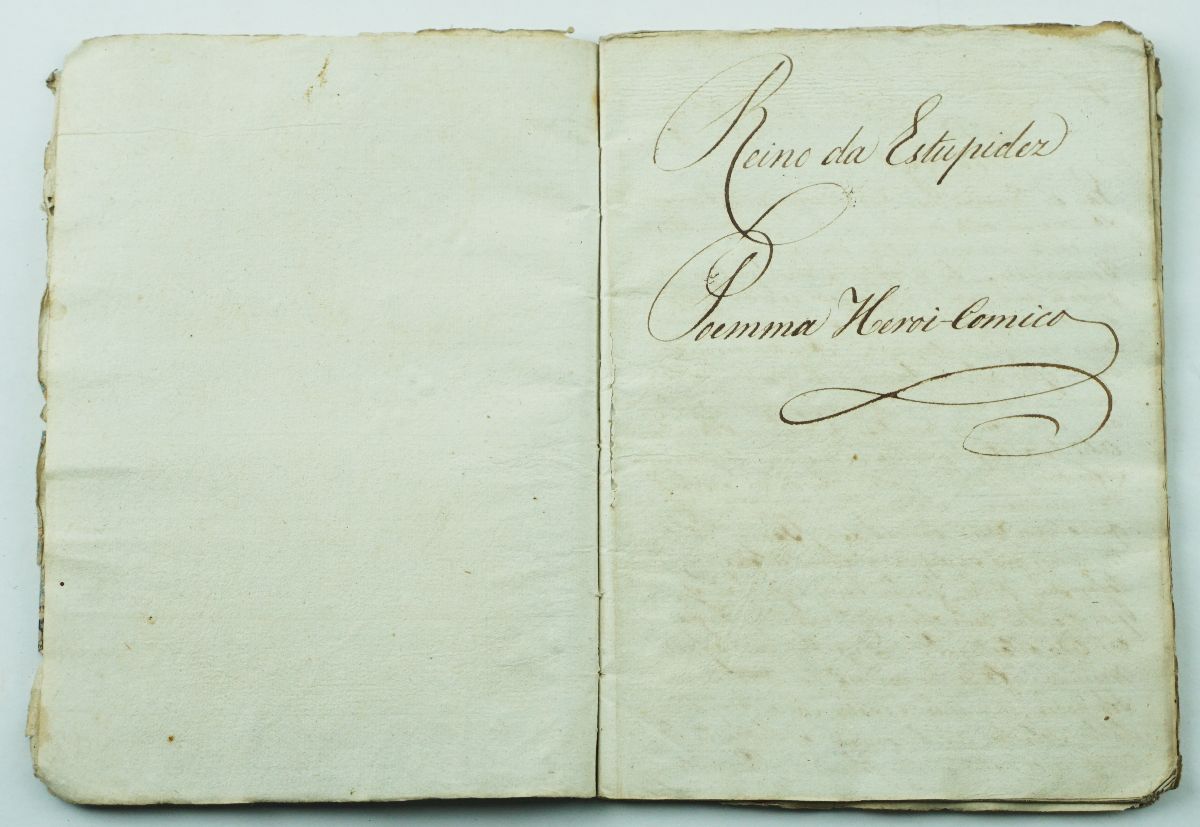 Manuscrito do Reino da Estupidez, Poemma Heroi