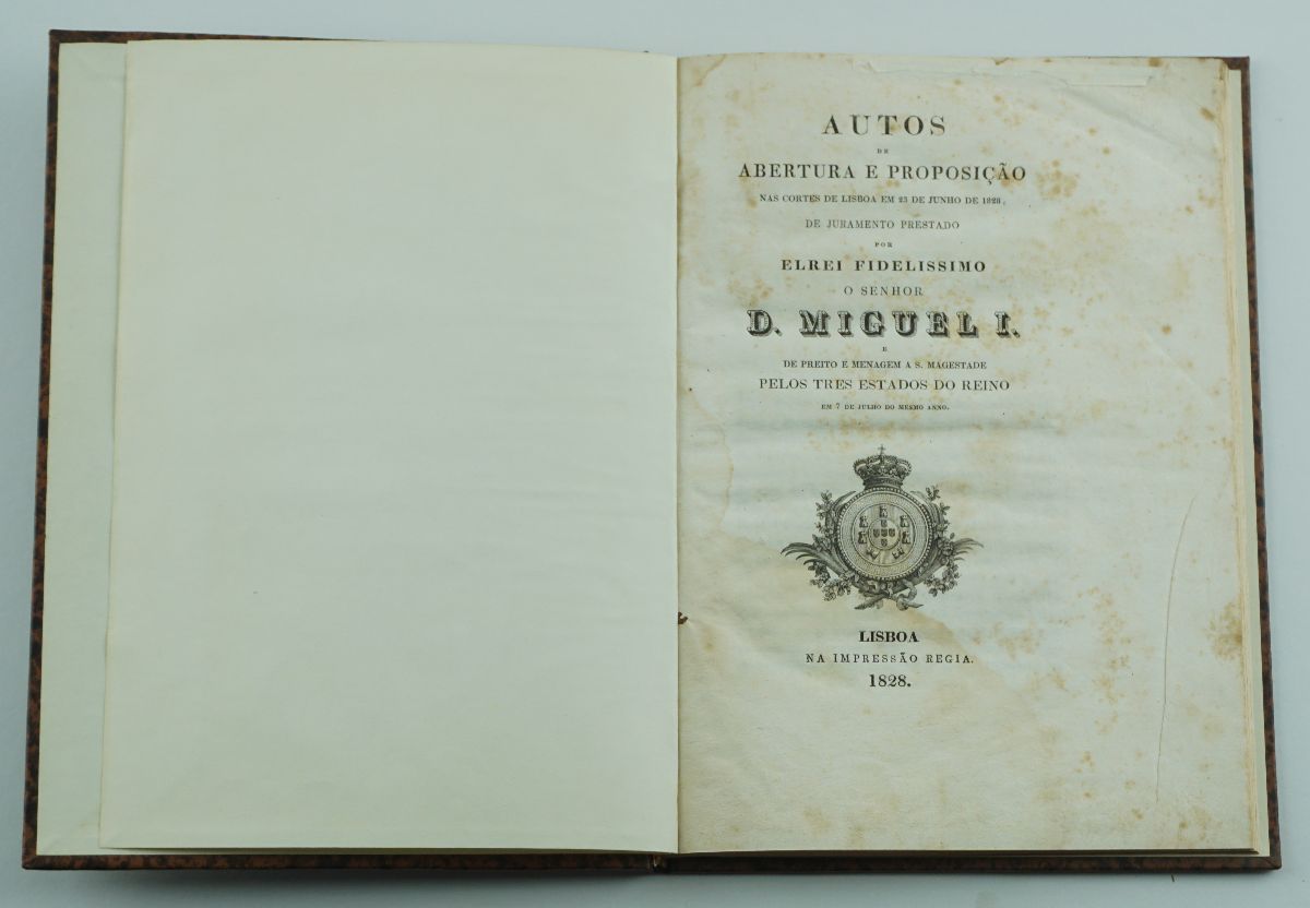 Realeza de D. Miguel (1828)