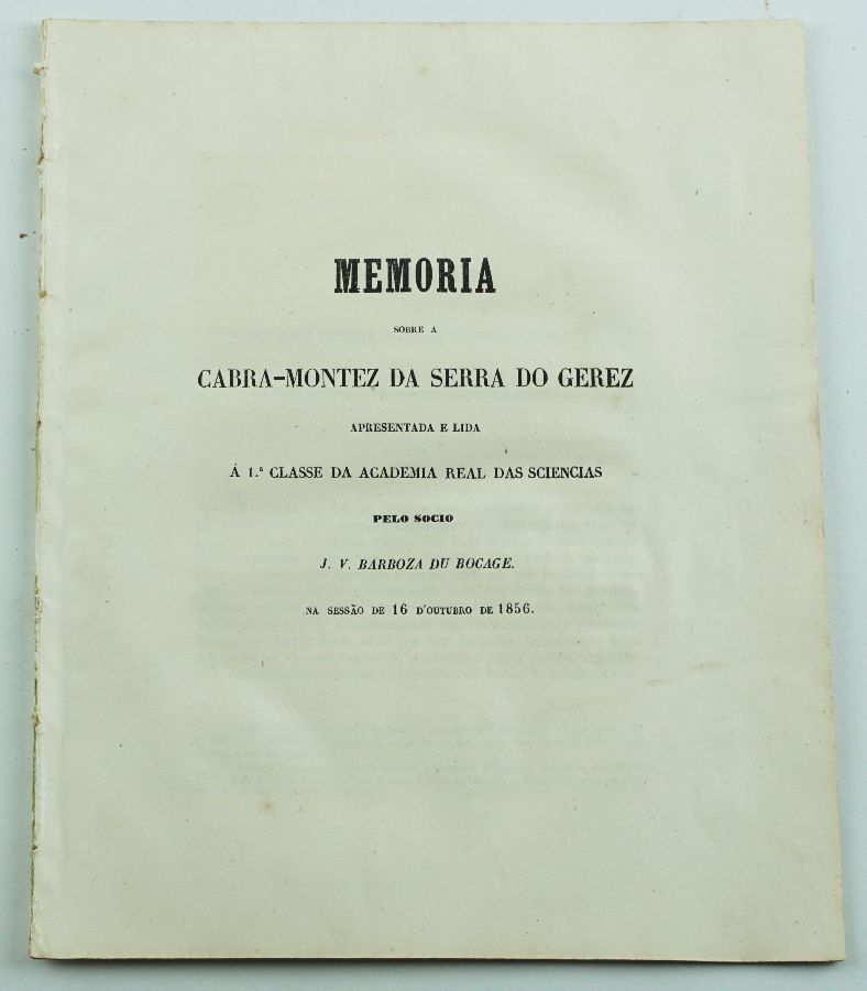 CABRA DO GEREZ. BOCAGE 1856