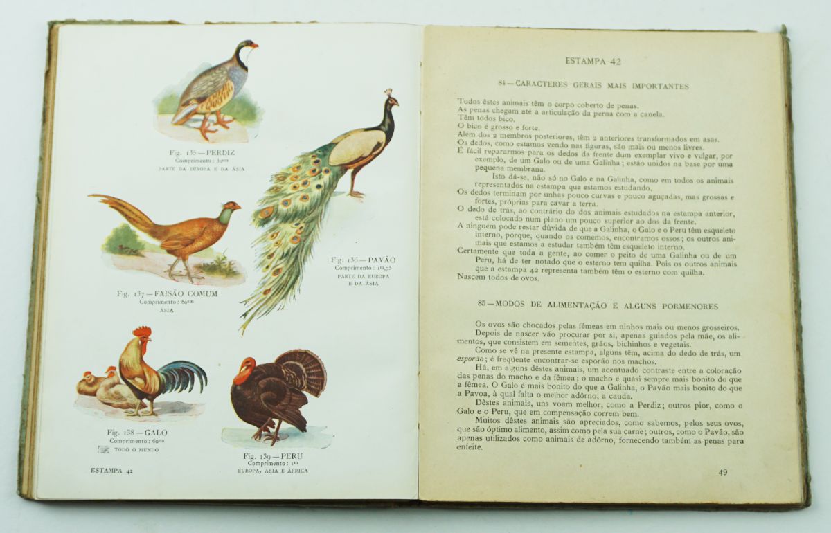 Raro livro escolar de Zoologia