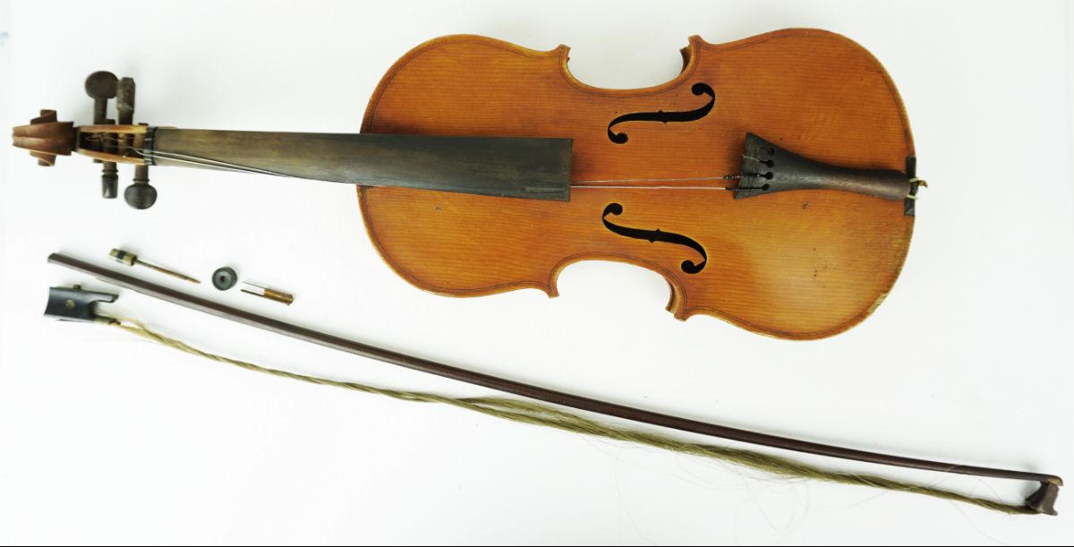 Violino