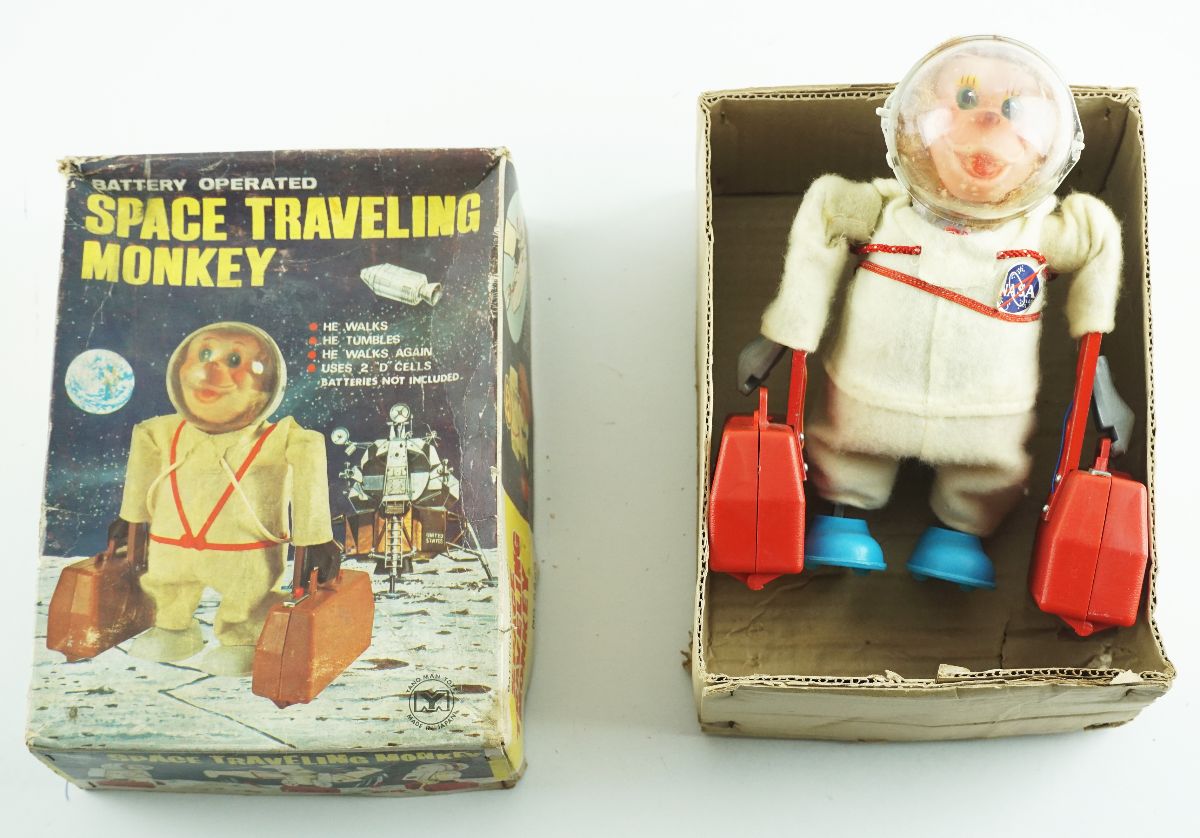 Space Traveling Monkey
