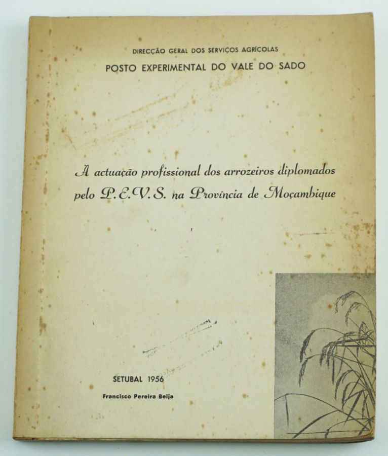 Álbum (arroz) Província de Moçambique