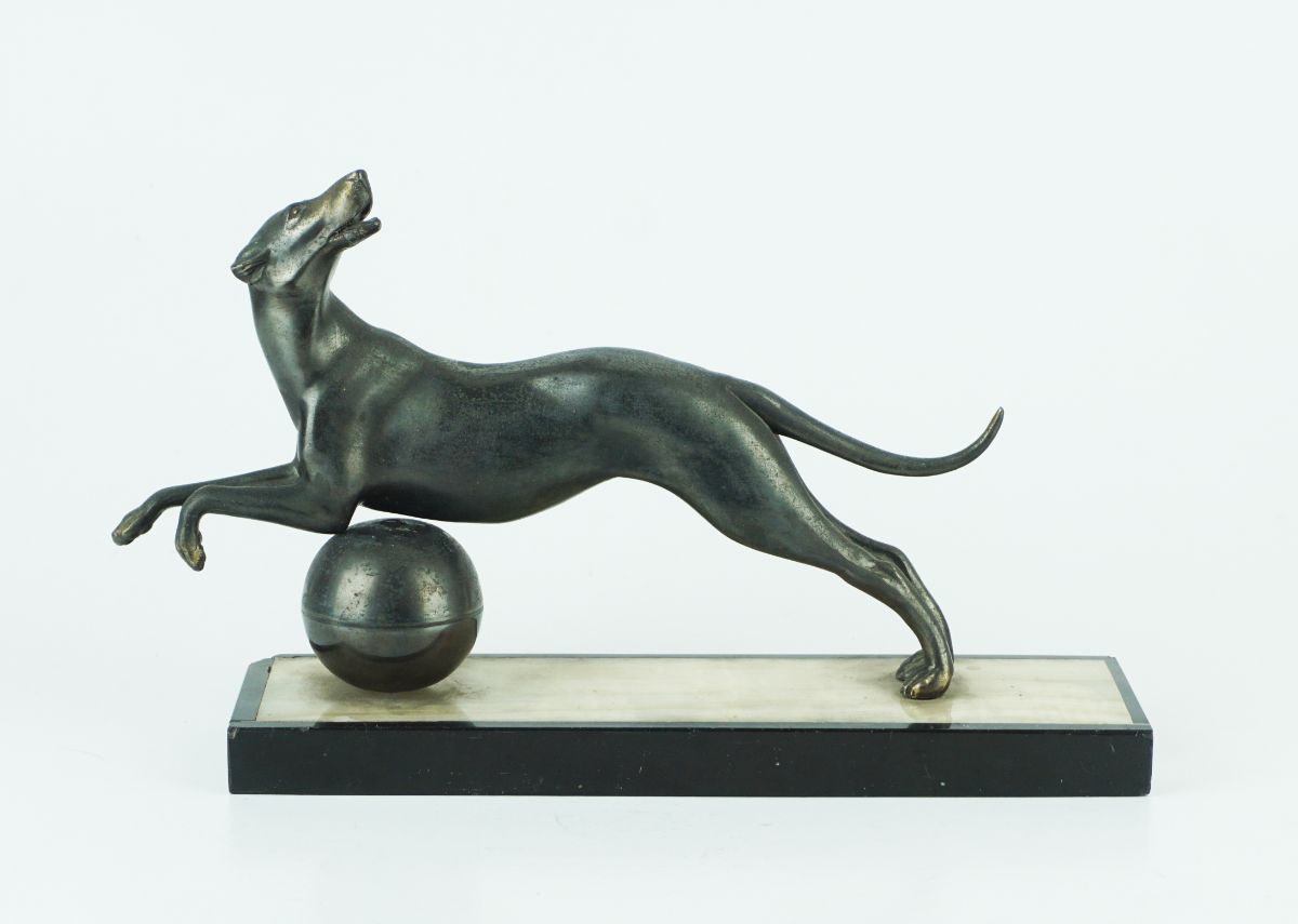 Galgo com bola