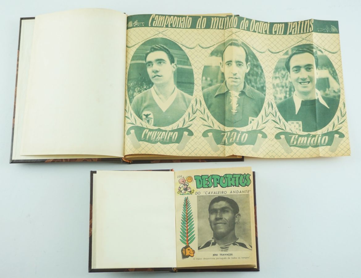 Cavaleiro Andante