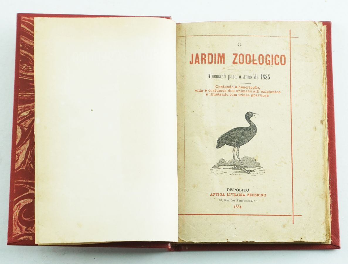 O Jardim Zoológico (1844)