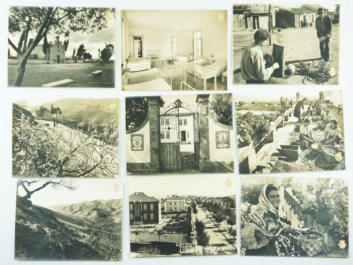 DOMINGOS ALVÃO – VILA NOVA DE FOZ CÔA