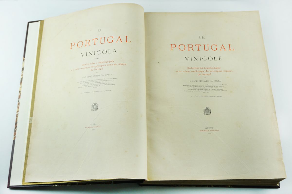 Cincinato da Costa- O Portugal Vinícola- 1900