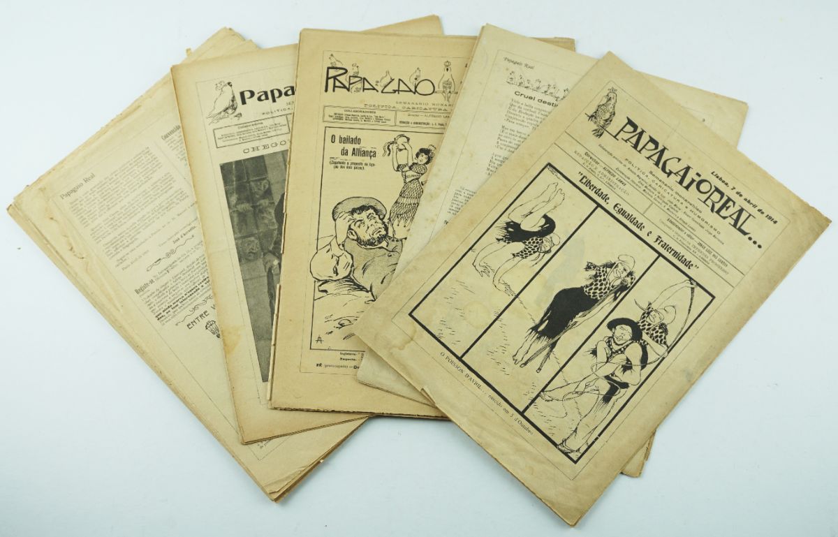 Papagaio Real