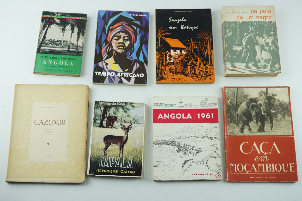 8 Livros sobre África