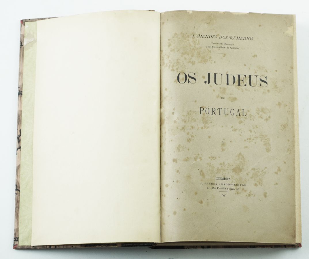 Os Judeus em Portugal (1895)