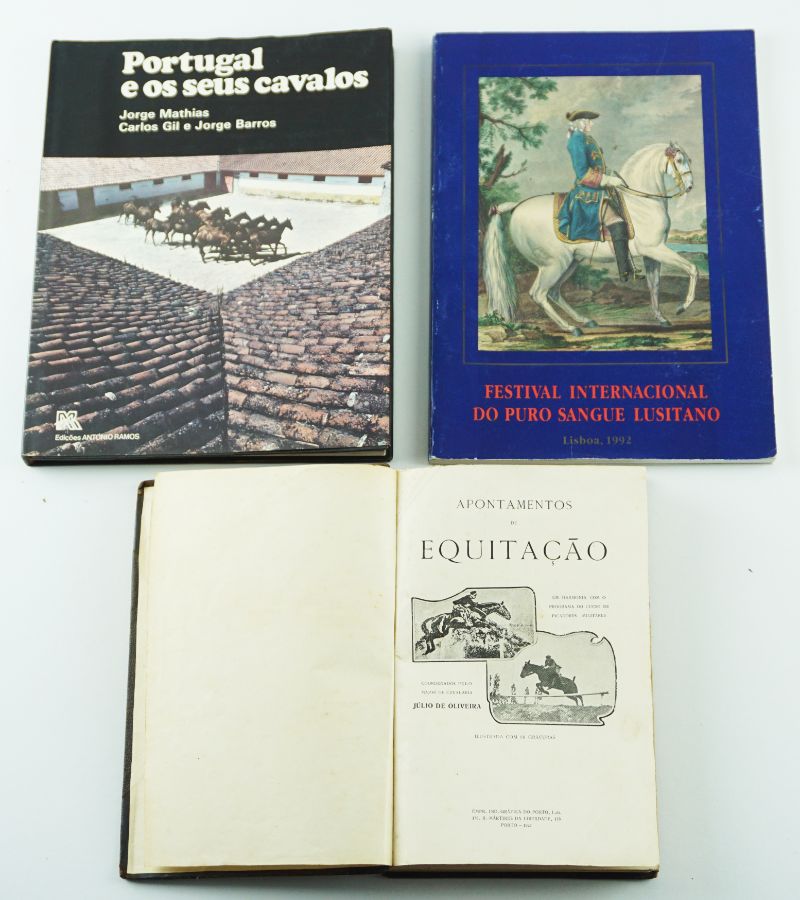 Apontamentos de Equitação