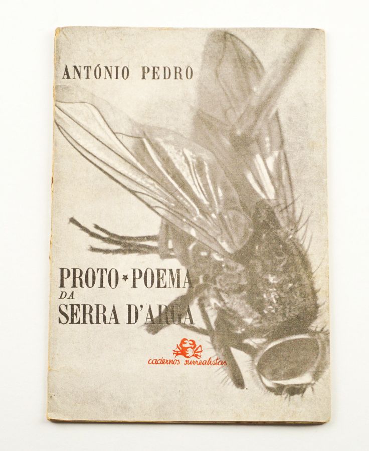 António Pedro