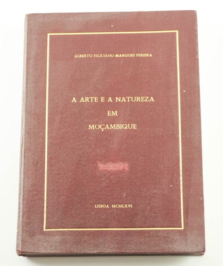 A Arte e a Natureza em Moçambique