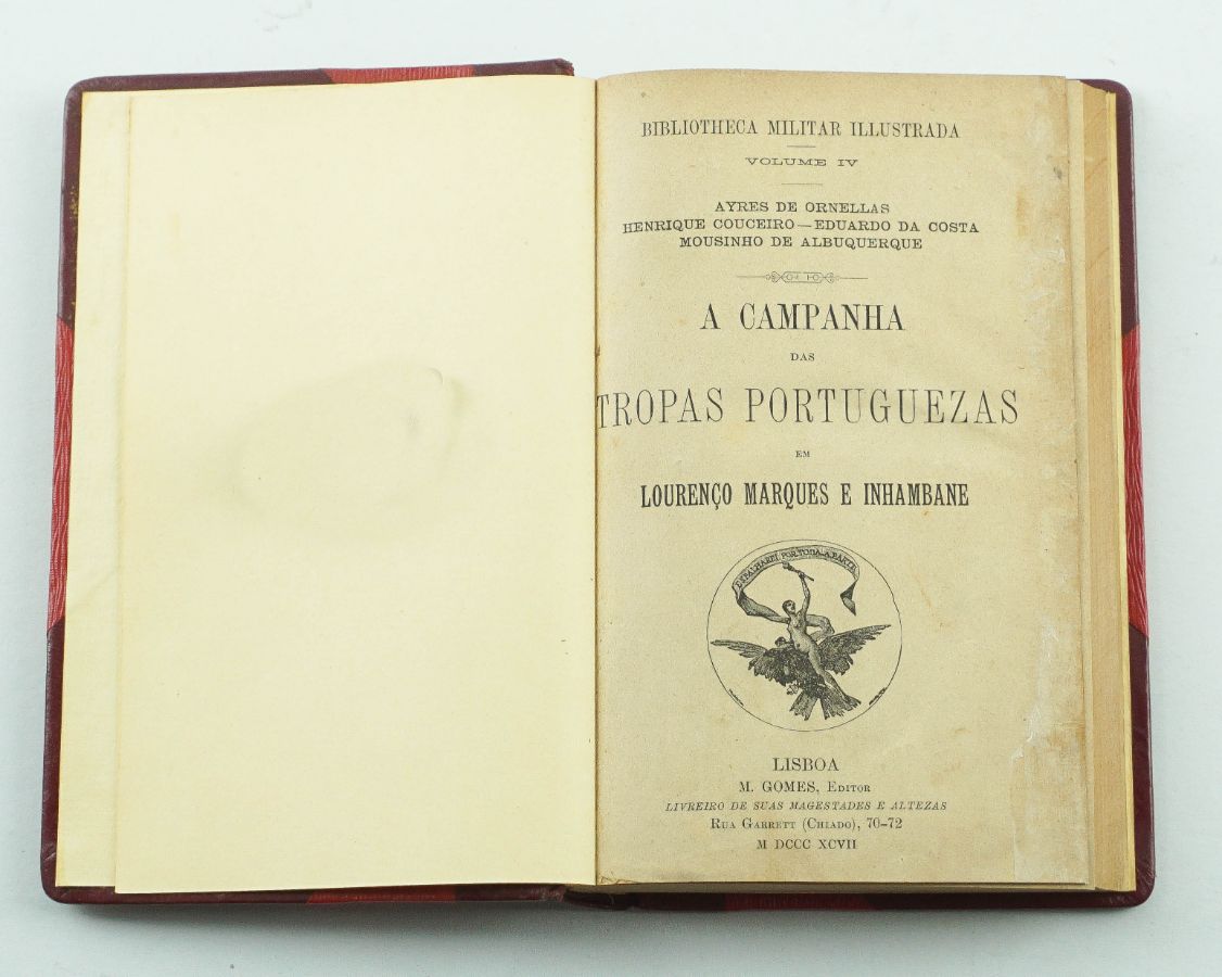 Campanhas de Moçambique (1895)