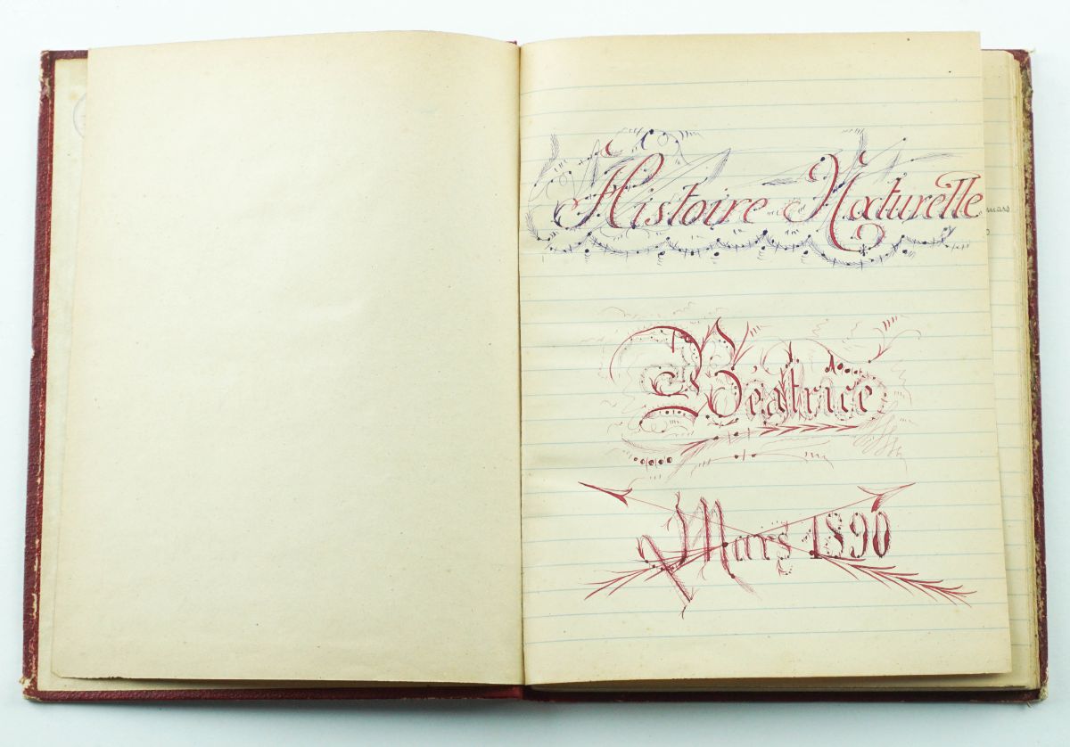 Manuscrito - História Natural (1890)