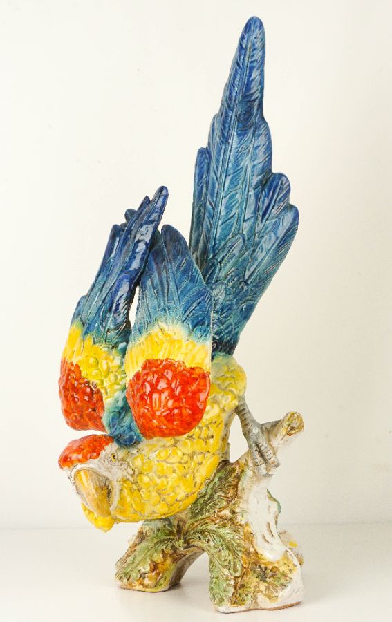 Arara