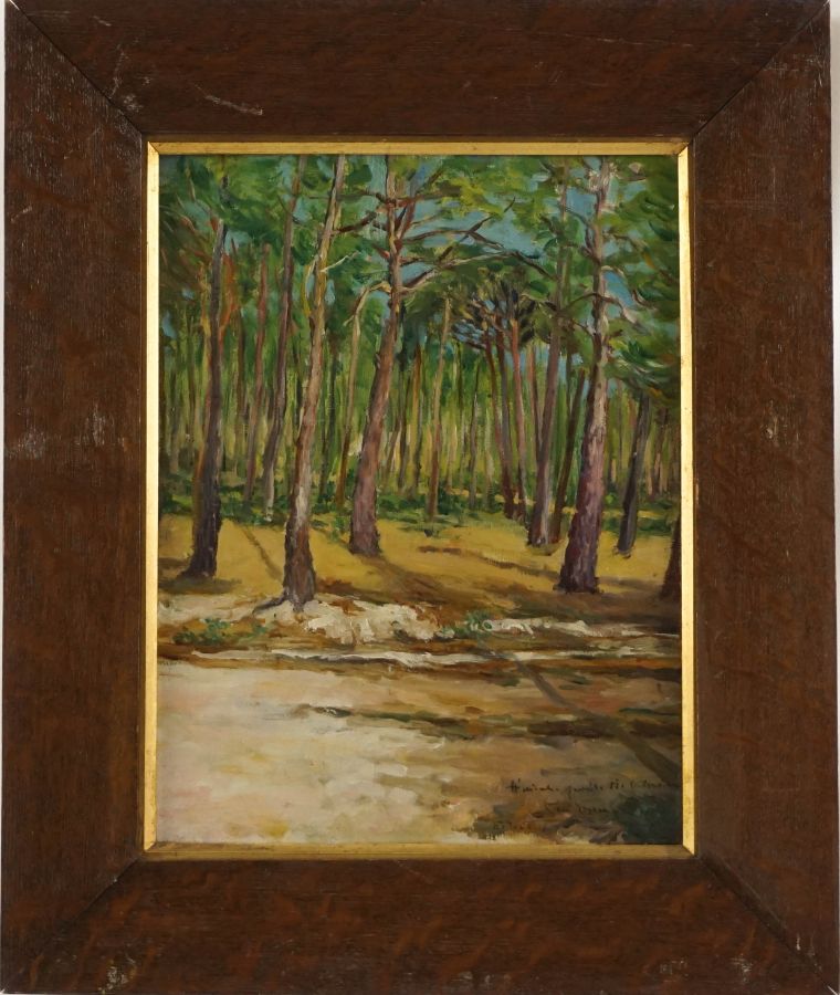 Floresta