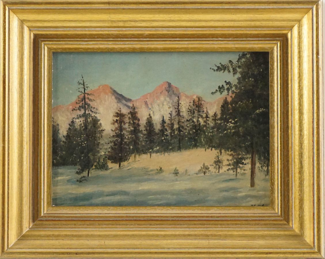 Paisagem de Montanha