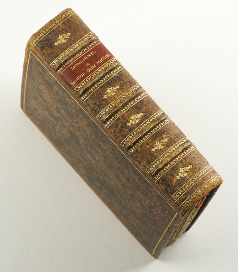 Homenagem a D. Miguel I (1867)