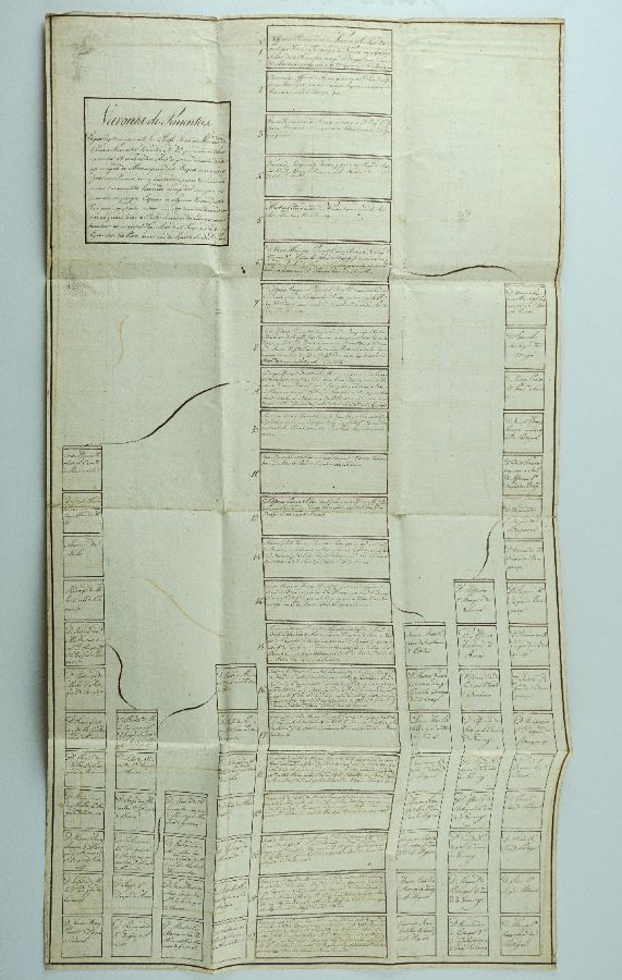 Varonia dos Pimenteis – manuscrito sec XVIII