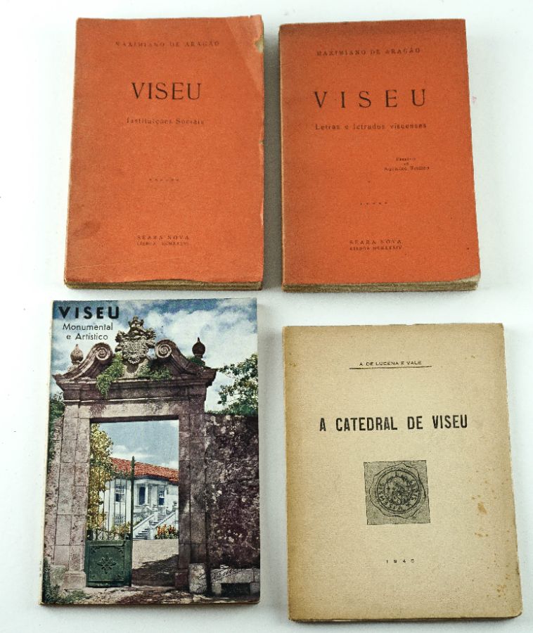 Livros sobre Viseu