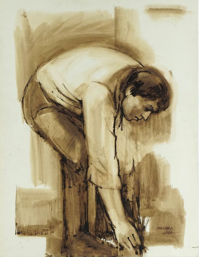 Manuel Lima