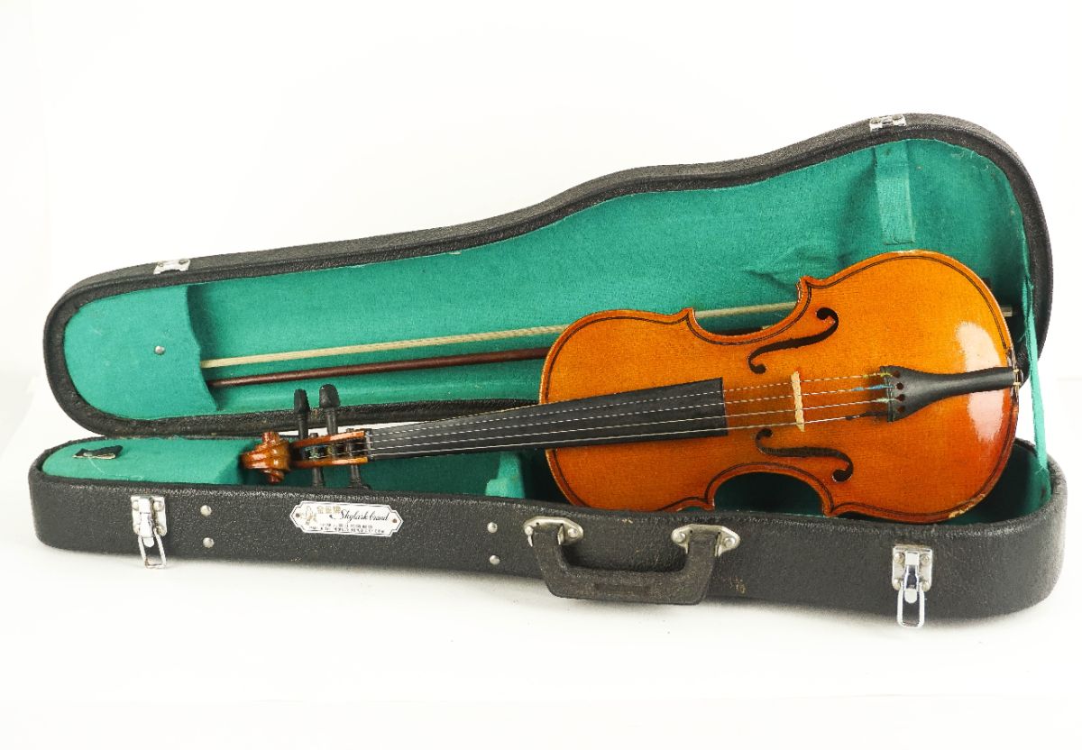 Violino