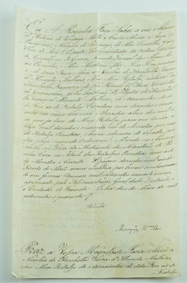 Manuscrito Pergaminho Rainha D. Maria II
