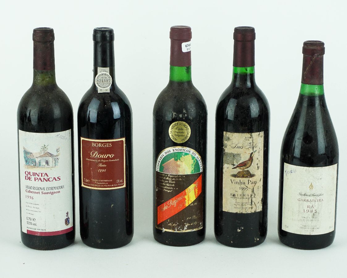 10 Garrafas de Vinho Tinto